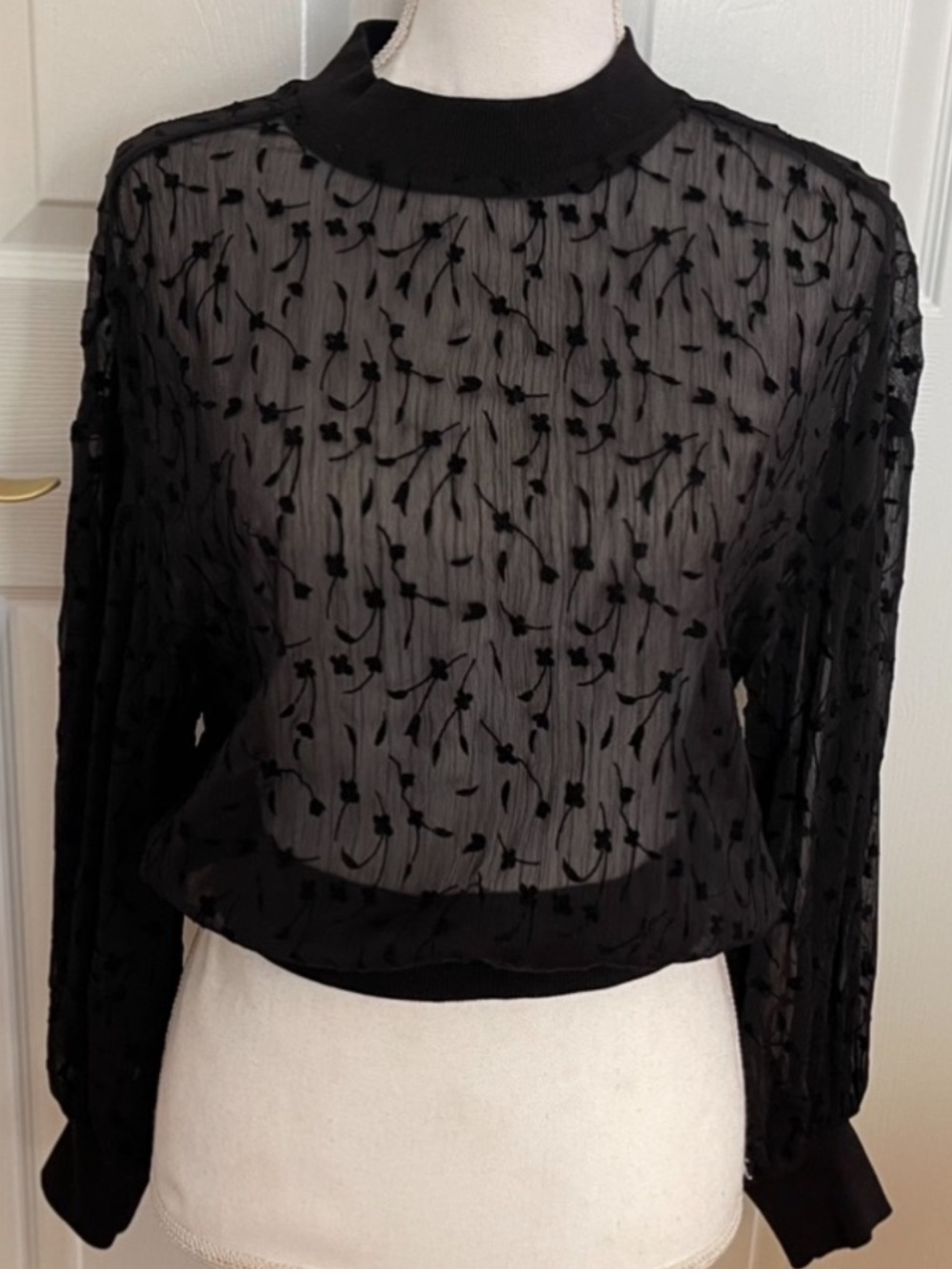 Zara Black Sheer Top with Delicate Floral Detail